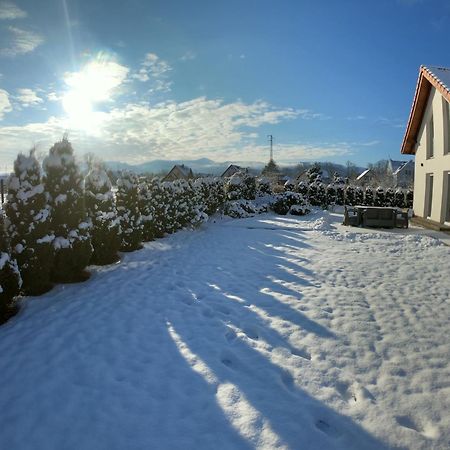 Sniezka House Βίλα Mysłakowice Εξωτερικό φωτογραφία